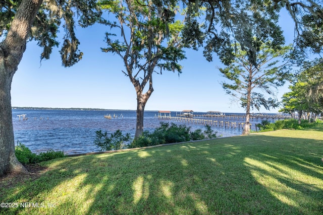 3217 River Rd, Green Cove Springs, FL 32043 - photo 45