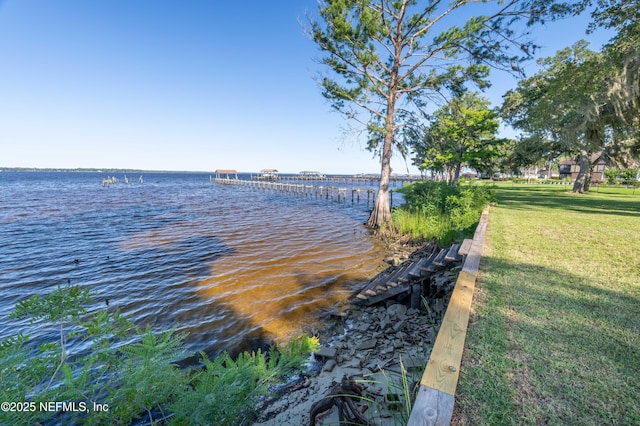 3217 River Rd, Green Cove Springs, FL 32043 - photo 57