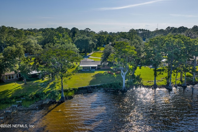 3217 River Rd, Green Cove Springs, FL 32043 - photo 65
