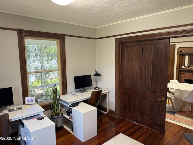 5 Palm Row, Saint Augustine, FL 32084 - office with dark wood-style floors, a textured ceiling, and crown molding