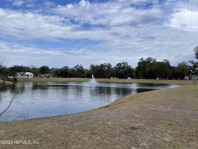 29071 Grandview Mnr, Yulee, FL 32097 - photo 7