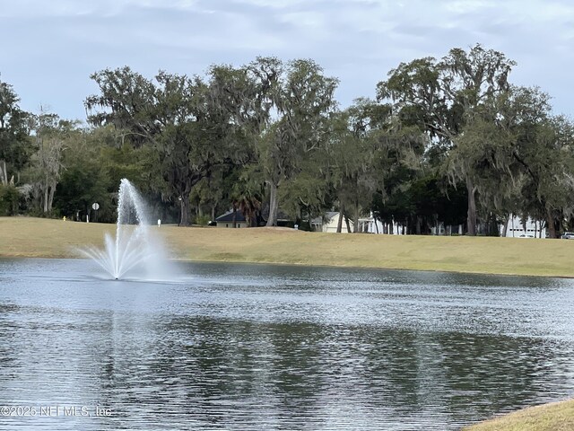 29071 Grandview Mnr, Yulee, FL 32097 - photo 8