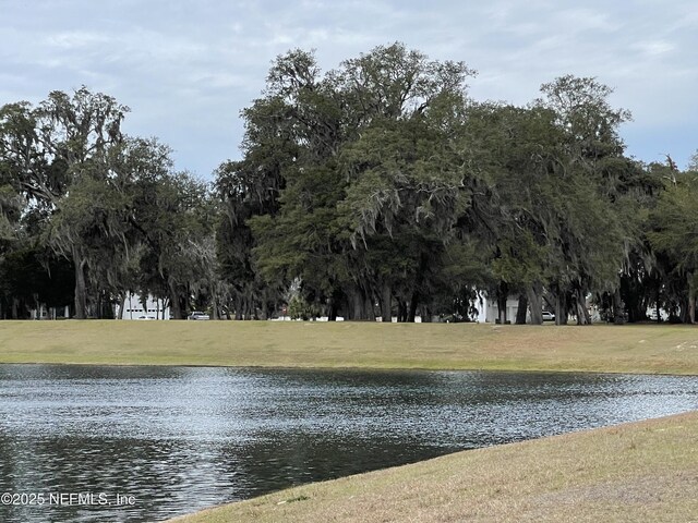 29071 Grandview Mnr, Yulee, FL 32097 - photo 9