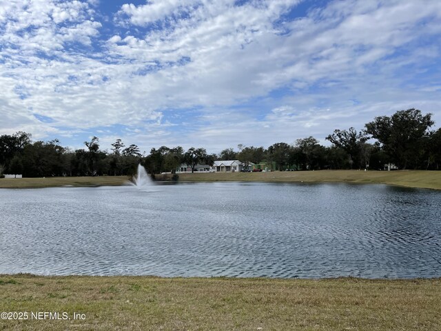 29071 Grandview Mnr, Yulee, FL 32097 - photo 6