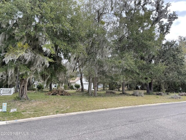 29071 Grandview Mnr, Yulee, FL 32097 - photo 5