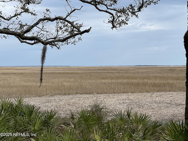 29071 Grandview Mnr, Yulee, FL 32097 - photo 4