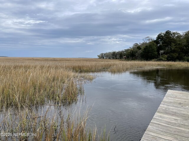 29071 Grandview Mnr, Yulee, FL 32097 - photo 12