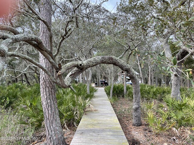 29071 Grandview Mnr, Yulee, FL 32097 - photo 10
