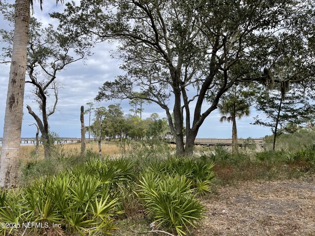29071 Grandview Mnr, Yulee, FL 32097 - photo 2