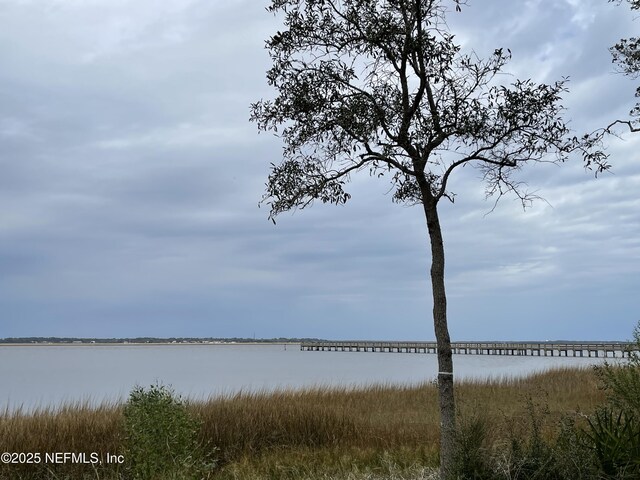 29071 Grandview Mnr, Yulee, FL 32097 - photo 15