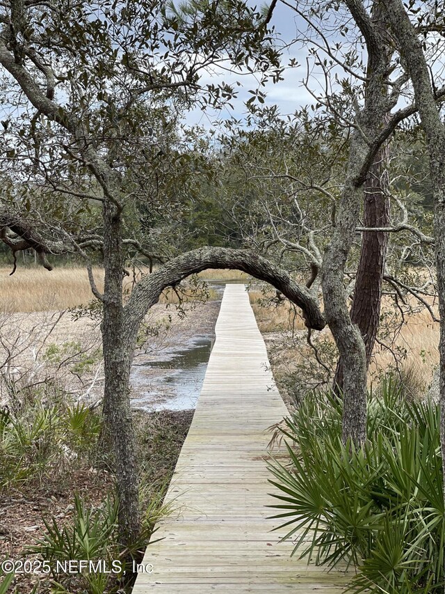 29071 Grandview Mnr, Yulee, FL 32097 - photo 11