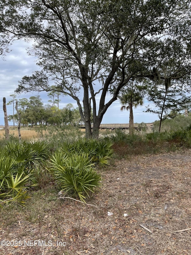 29071 Grandview Mnr, Yulee, FL 32097 - photo 3