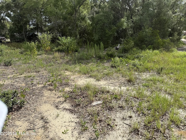 333 2nd Way, Interlachen, FL 32148
