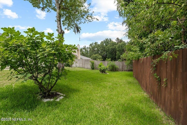 2888 Majestic Oaks Ln, Green Cove Springs, FL 32043 - view of fenced backyard