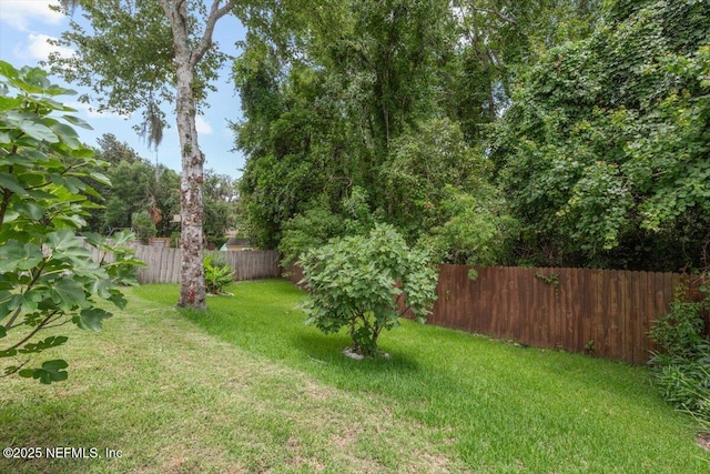 2888 Majestic Oaks Ln, Green Cove Springs, FL 32043 - view of fenced backyard