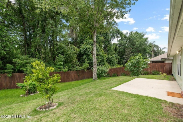 2888 Majestic Oaks Ln, Green Cove Springs, FL 32043 - fenced backyard featuring a patio area