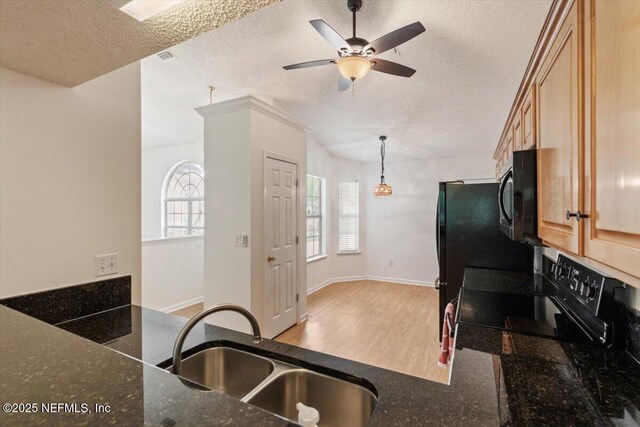 2888 Majestic Oaks Ln, Green Cove Springs, FL 32043 - kitchen featuring black appliances, ceiling fan, a textured ceiling, dark stone counters, and wood finished floors