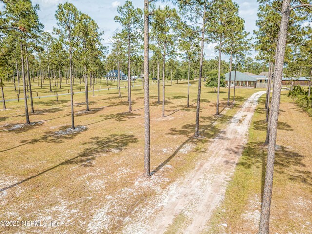 14157 Glen Farms Dr, Glen St Mary, FL 32040 - photo 11