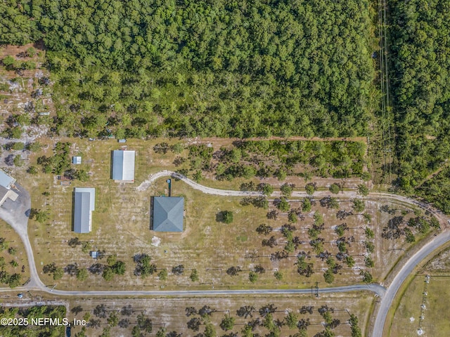 14157 Glen Farms Dr, Glen St Mary, FL 32040 - photo 5