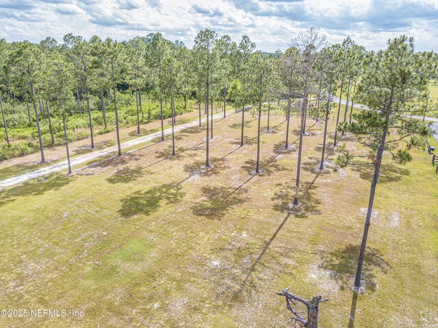 14157 Glen Farms Dr, Glen St Mary, FL 32040 - photo 13