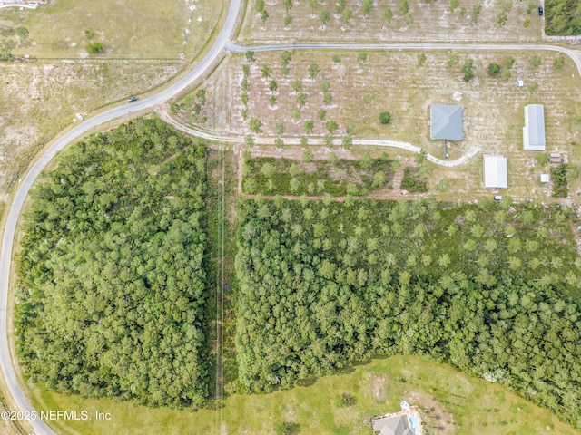14157 Glen Farms Dr, Glen St Mary, FL 32040 - photo 29