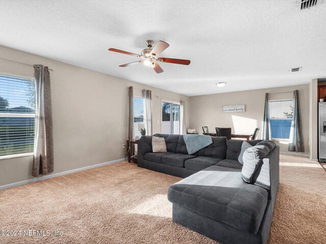 8770 Oxfordshire Ave E, Jacksonville, FL 32219 - photo 16