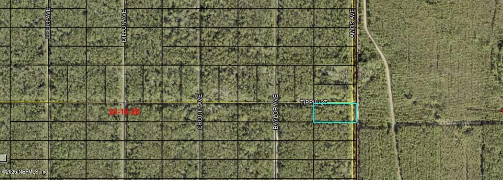 0 Amos Ave, Hastings, FL 32145