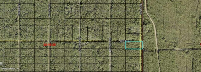 0 Amos Ave, Hastings, FL 32145