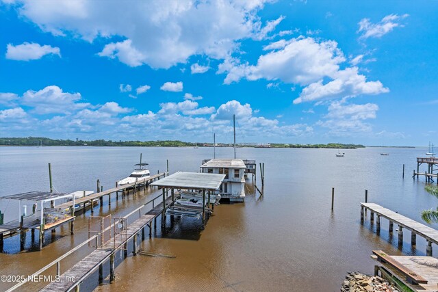 209 Trout River Dr, Jacksonville, FL 32208 - photo 38