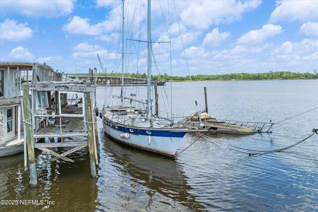 209 Trout River Dr, Jacksonville, FL 32208 - photo 47