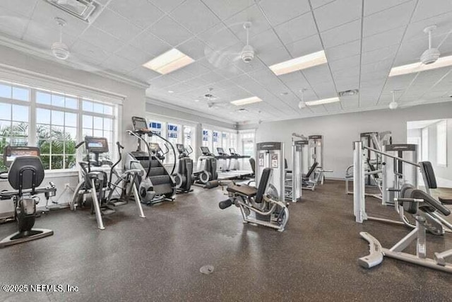 46 Hydrilla Ct, Saint Augustine, FL 32095 - workout area with a paneled ceiling and ornamental molding