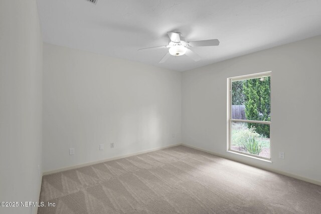 1910 Hibernia Ct, Jacksonville, FL 32223 - photo 43