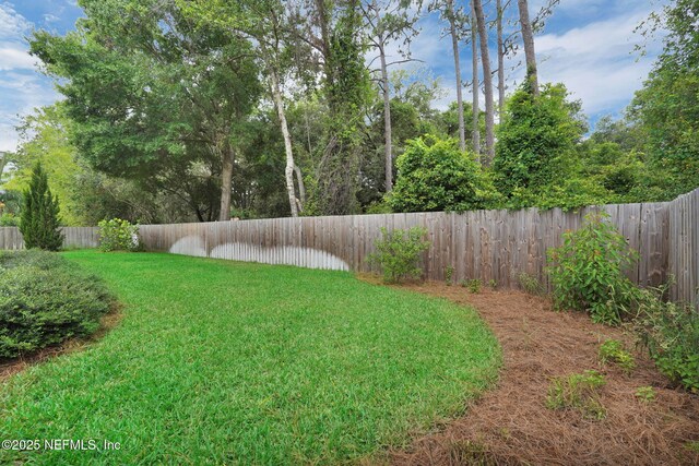 1910 Hibernia Ct, Jacksonville, FL 32223 - photo 50