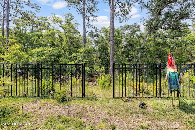 85600 Stonehurst Pkwy, Fernandina Beach, FL 32034 - view of yard
