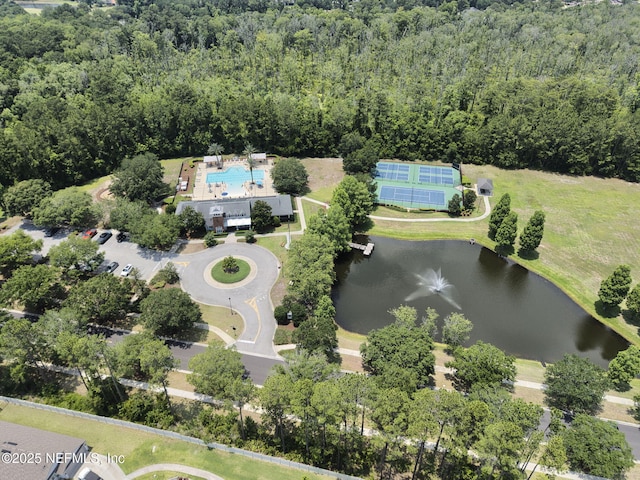 85600 Stonehurst Pkwy, Fernandina Beach, FL 32034 - aerial view of property's location featuring a heavily wooded area, a large body of water, and a pool area