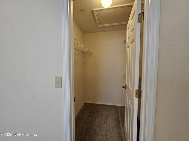 13810 Sutton Park Dr N Unit 635, Jacksonville, FL 32224 - photo 10