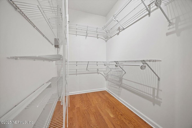 2049 Seminole Rd, Atlantic Beach, FL 32233 - walk in closet with wood finished floors