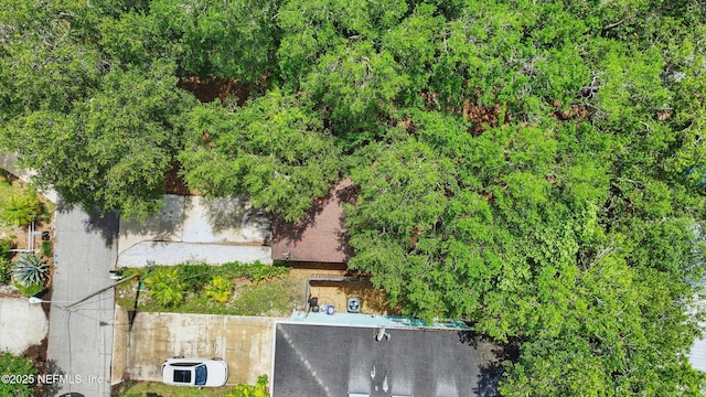 494 Acacia St, Saint Augustine Beach, FL 32080 - view from above of property