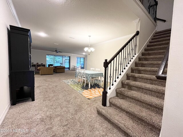 128 Alegria Cir, Saint Augustine, FL 32095 - photo 37