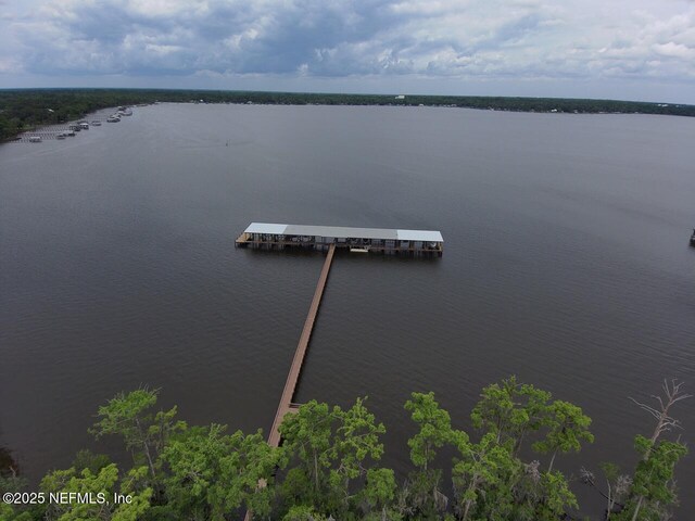 1821 Wind Ridge Ct, Fleming Island, FL 32003 - aerial view of a large body of water