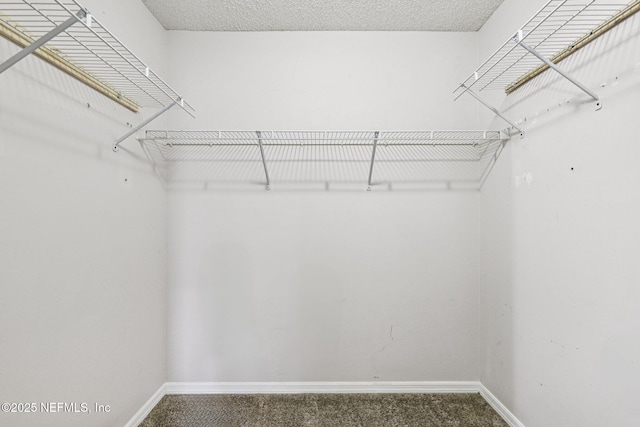 1645 Teaberry Dr, Middleburg, FL 32068 - spacious closet featuring carpet floors