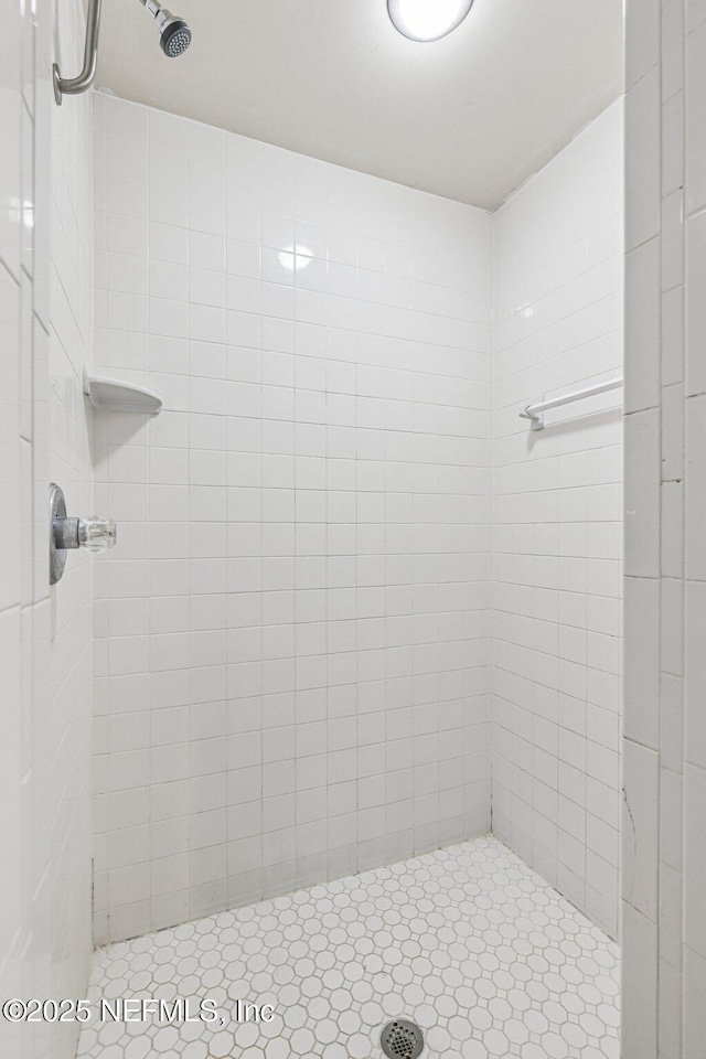 1645 Teaberry Dr, Middleburg, FL 32068 - bathroom featuring a stall shower
