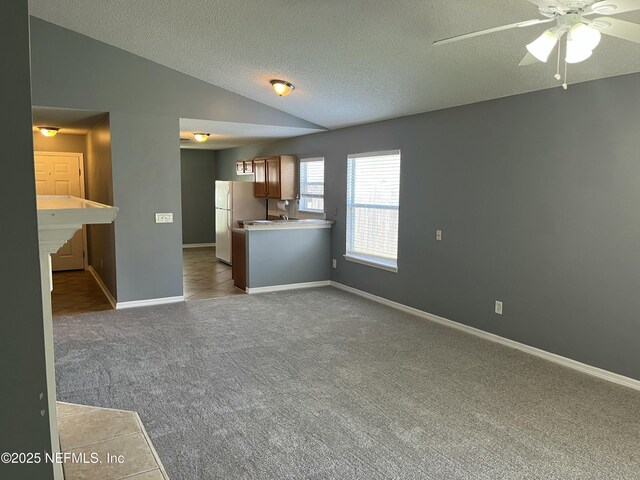 1645 Teaberry Dr, Middleburg, FL 32068 - unfurnished living room with carpet flooring, vaulted ceiling, a ceiling fan, and a textured ceiling