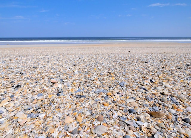 4427 Royal Tern Ct, Jacksonville Beach, FL 32250 - water view with nearby beach