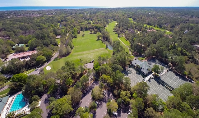 4427 Royal Tern Ct, Jacksonville Beach, FL 32250 - aerial overview of property's location featuring a heavily wooded area and a golf club