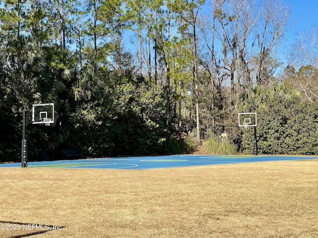 4427 Royal Tern Ct, Jacksonville Beach, FL 32250 - view of basketball court featuring community basketball court and a yard