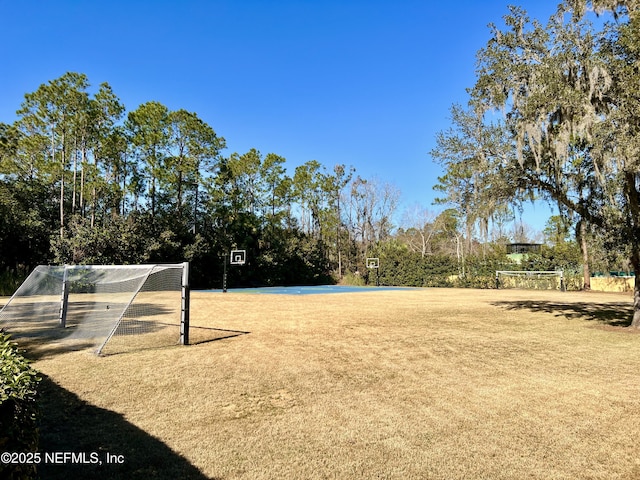 4427 Royal Tern Ct, Jacksonville Beach, FL 32250 - view of property's community with an area for sports and view of wooded area
