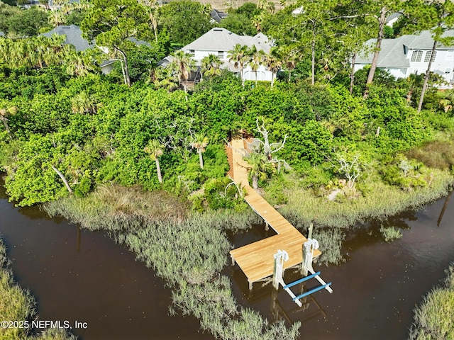 4427 Royal Tern Ct, Jacksonville Beach, FL 32250 - drone / aerial view of a nearby body of water