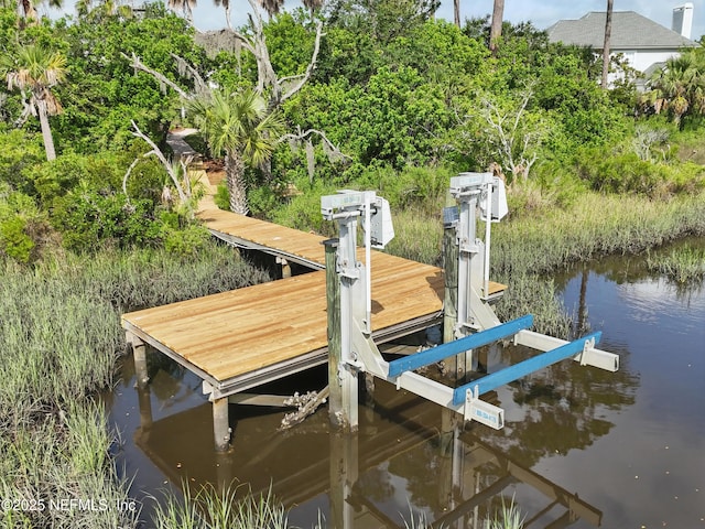 4427 Royal Tern Ct, Jacksonville Beach, FL 32250 - dock with boat lift and a water view