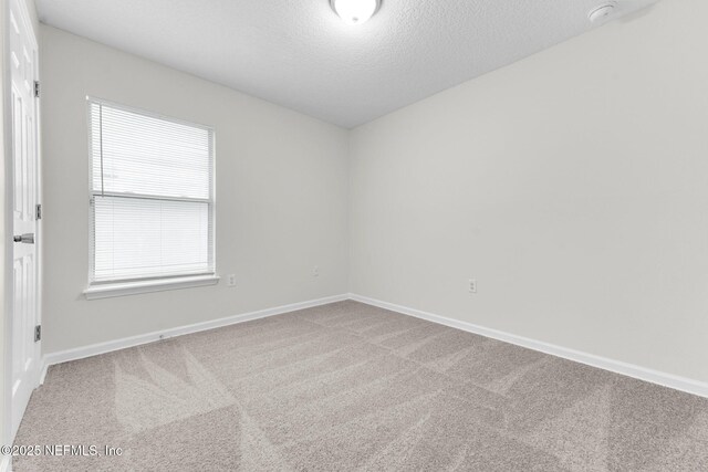 8446 Mcgirts Village Ln, Jacksonville, FL 32210 - photo 20